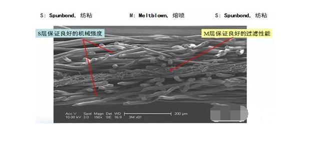 細塑料纖維顯微結(jié)構(gòu)